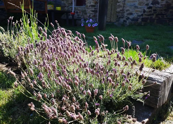 컨트리하우스 Casa *